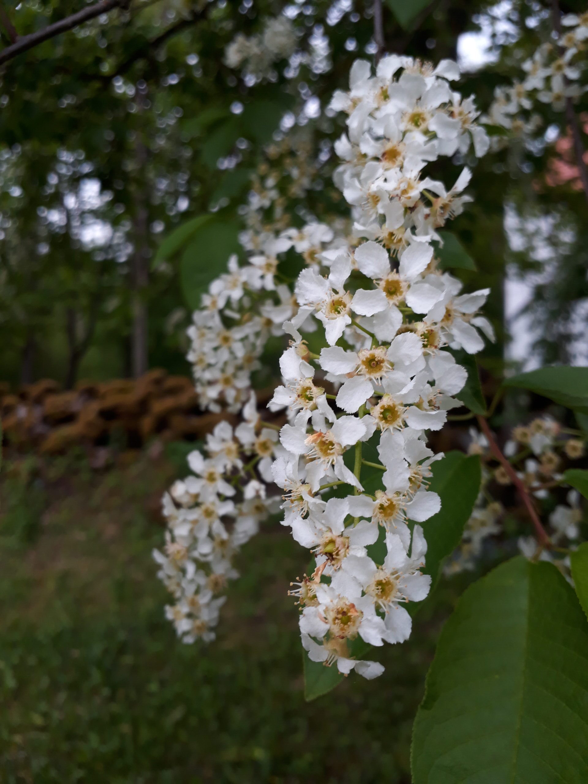 20220527 155928 Scaled Rotated