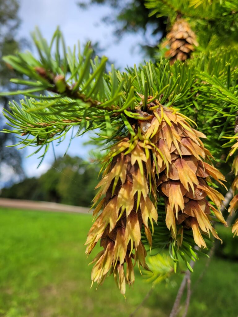 20220904 123629 scaled.jpg