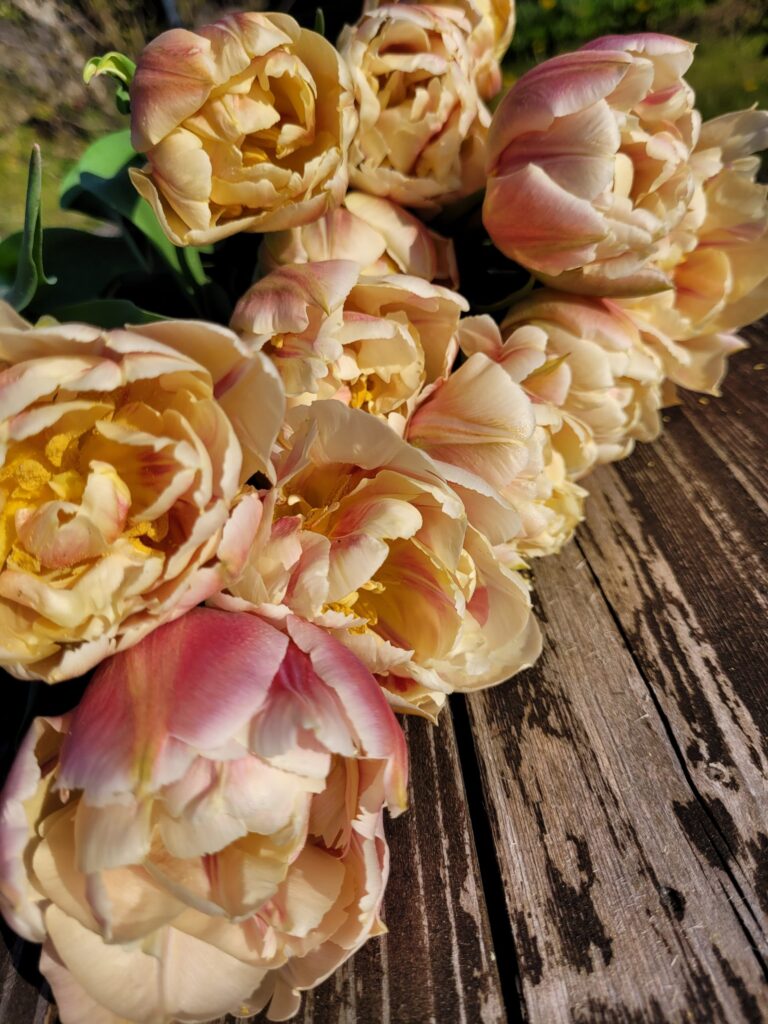 20230512 082126 scaled.jpg