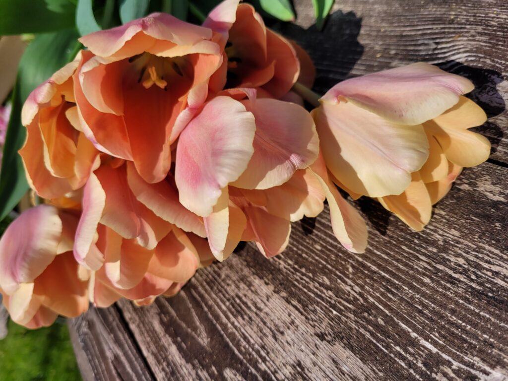 20230523 142322 scaled.jpg