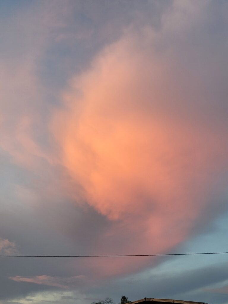 20240803 213651 scaled.jpg