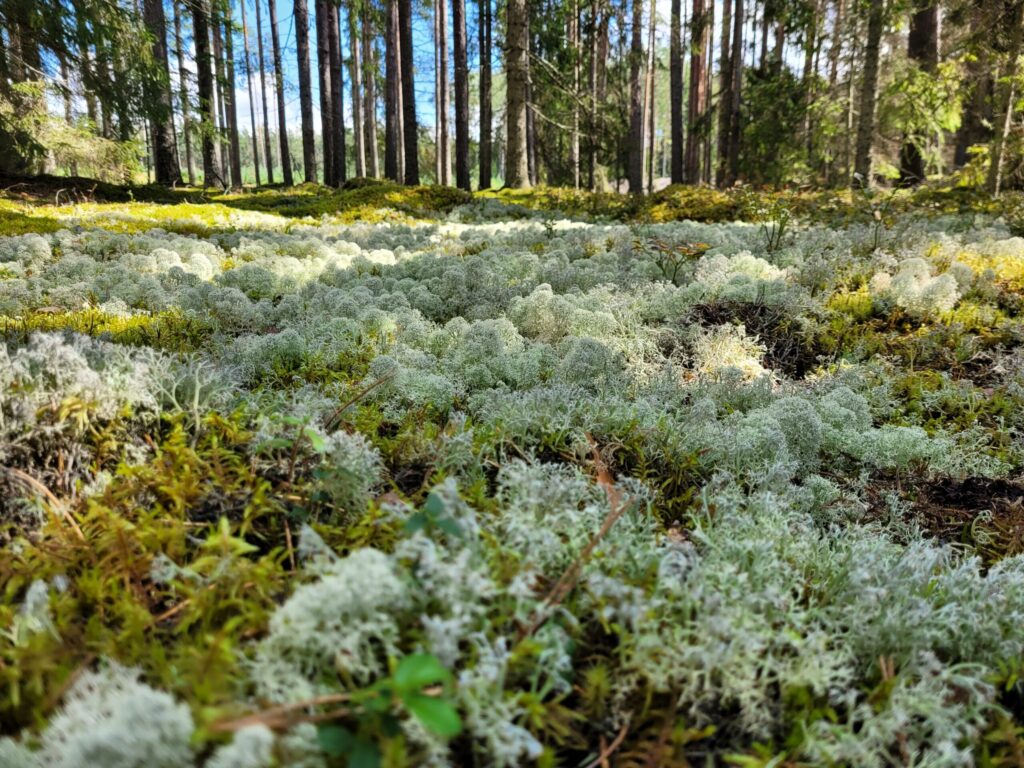 20240804 135445 scaled.jpg