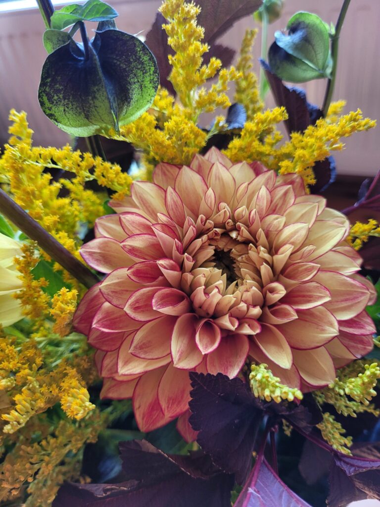 20240901 081657 scaled.jpg