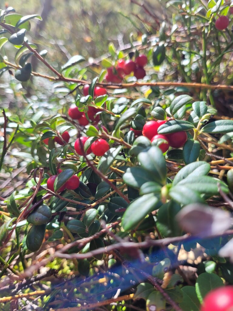 20240901 154313 scaled.jpg