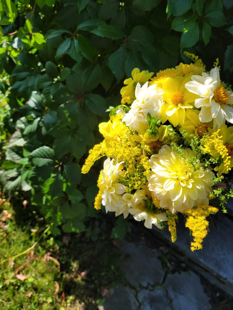 20240908 143638 scaled.jpg