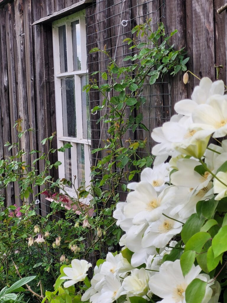 20250607 202729 scaled.jpg