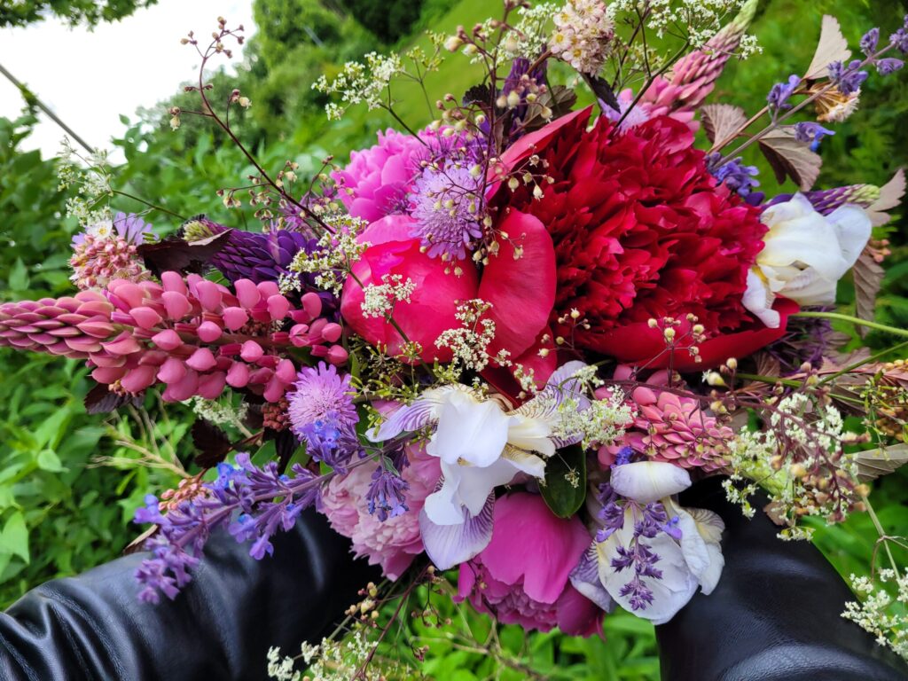 20250619 200112 scaled.jpg