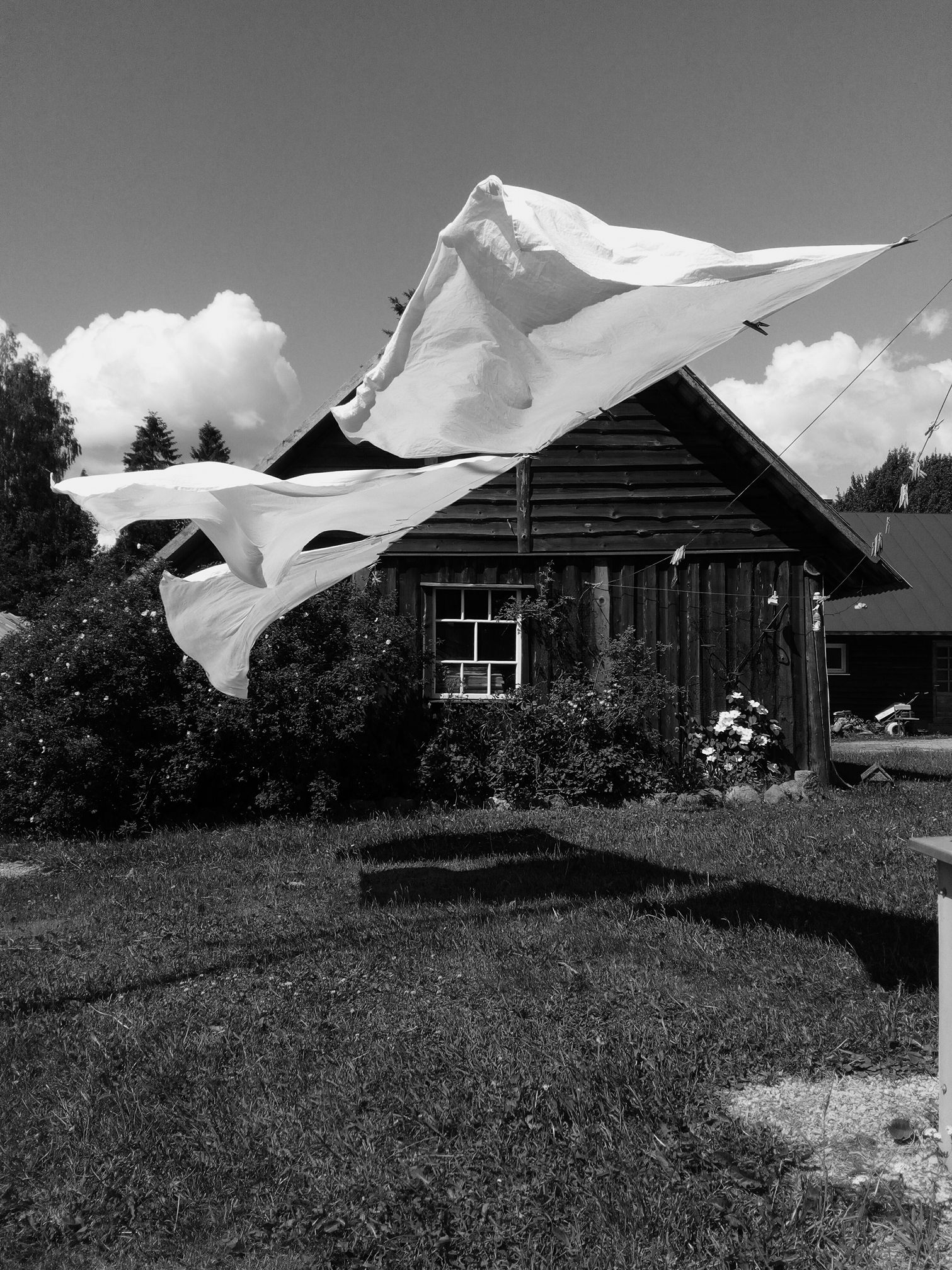 34497838 442777529500215 7220990723624009728 N